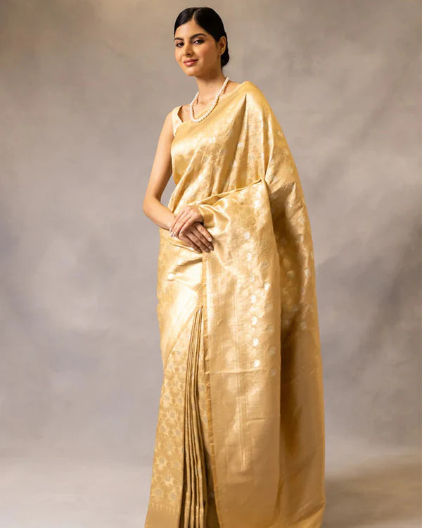 Womenline Chikoo Color Banarasi Jacquard Soft Silk Saree