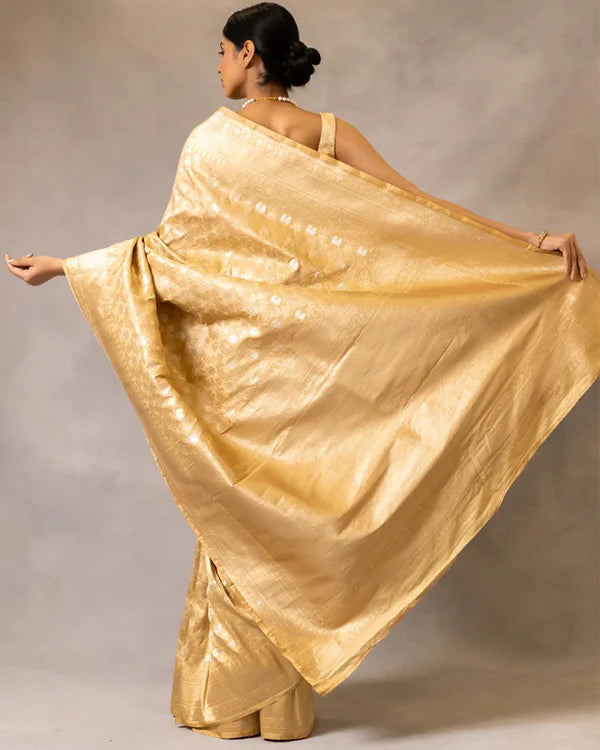 Womenline Chikoo Color Banarasi Jacquard Soft Silk Saree
