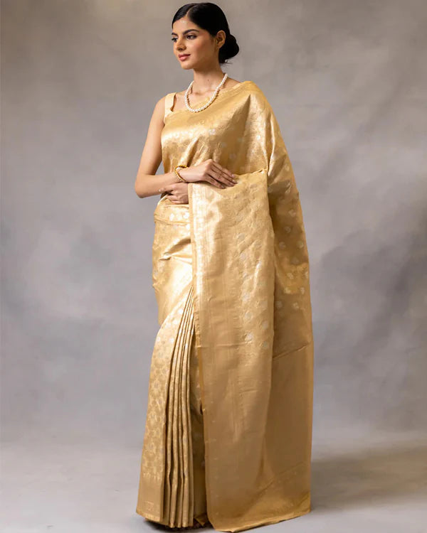 Womenline Chikoo Color Banarasi Jacquard Soft Silk Saree