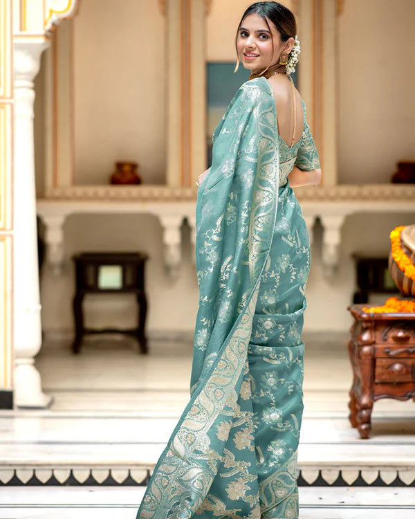 Womenline Sky Color Banarasi Jacquard Zari Weaving Saree